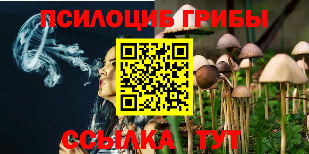 A-PVP Ирбит